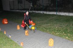 DSC_0070-Kopirovat