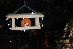 DSC_0132-Kopirovat-kopie