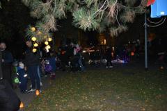 DSC_0142-Kopirovat-kopie